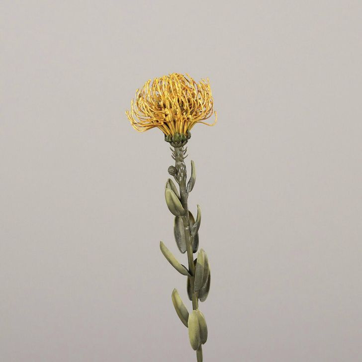 Kunstblume Protea gelb
