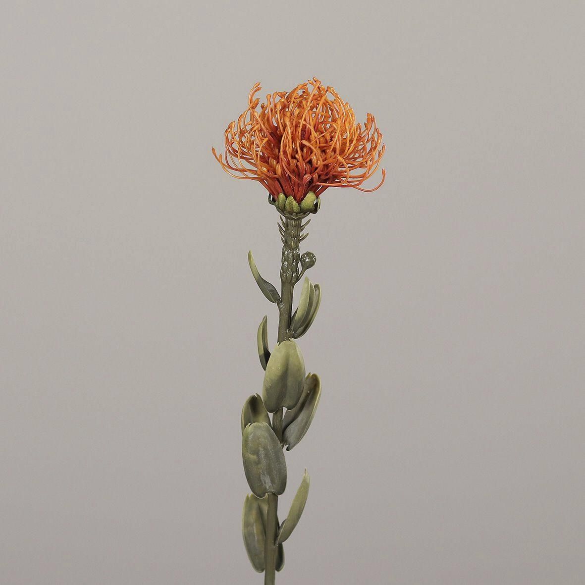Kunstblume Protea orange